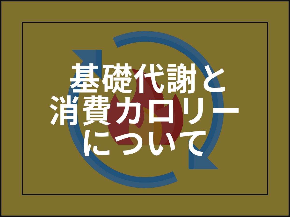 基礎代謝と総摂取消費カロリーについて、算出式や影響を与える要因など